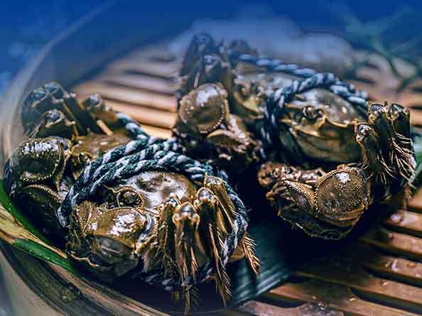 淡水蟹檢測(cè)