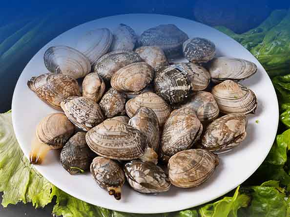 貝類(lèi)產(chǎn)品檢測(cè)